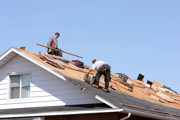Best Tile Roofing Installation  in Taylorvle, IL