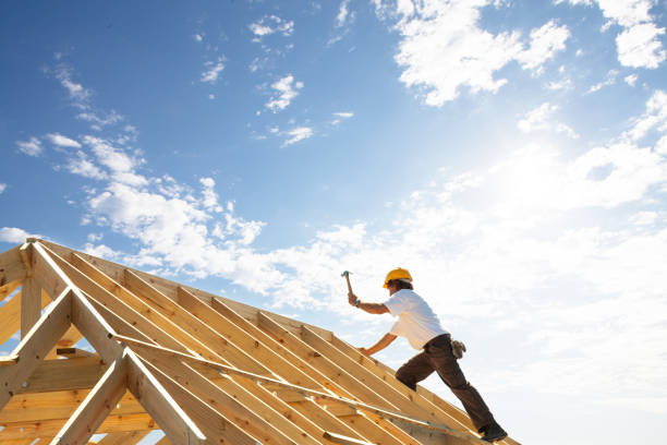 Best Cold Roofs  in Taylorvle, IL